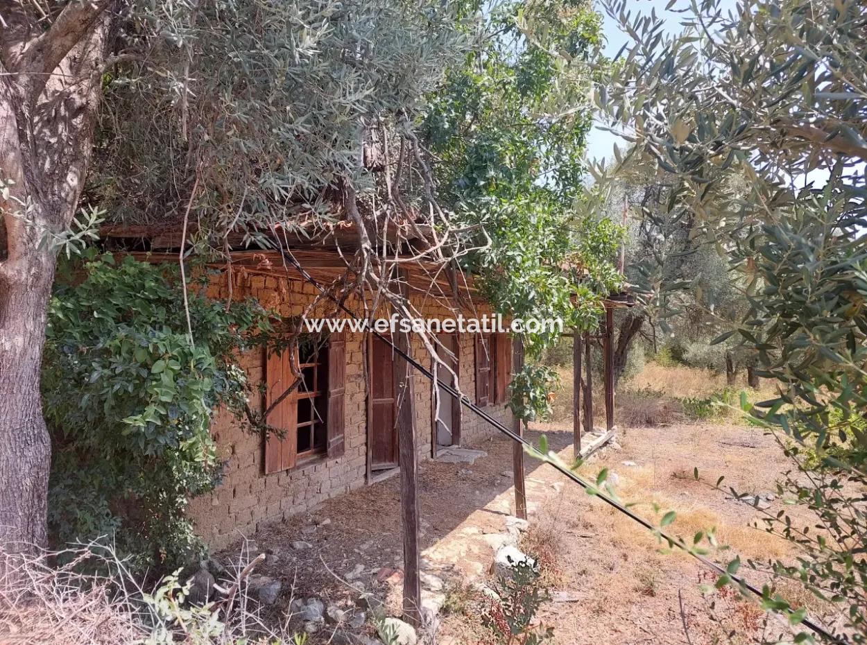 Dorfhaus Mit Seeblick Und Olivenhain Land Zum Verkauf In Köyceğiz Çandır, Muğla