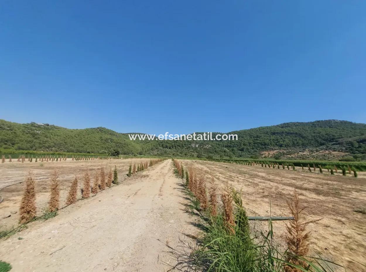 Genossenschaftsanteile Zum Verkauf In Ortaca Güzelyurt – 270 M²