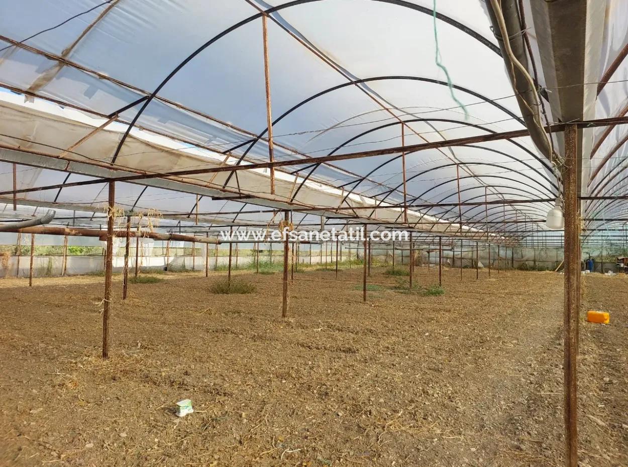 5.850 M² Seeblick Grundstück Und Dorfhaus Zum Verkauf In Ortaca Eskiköy