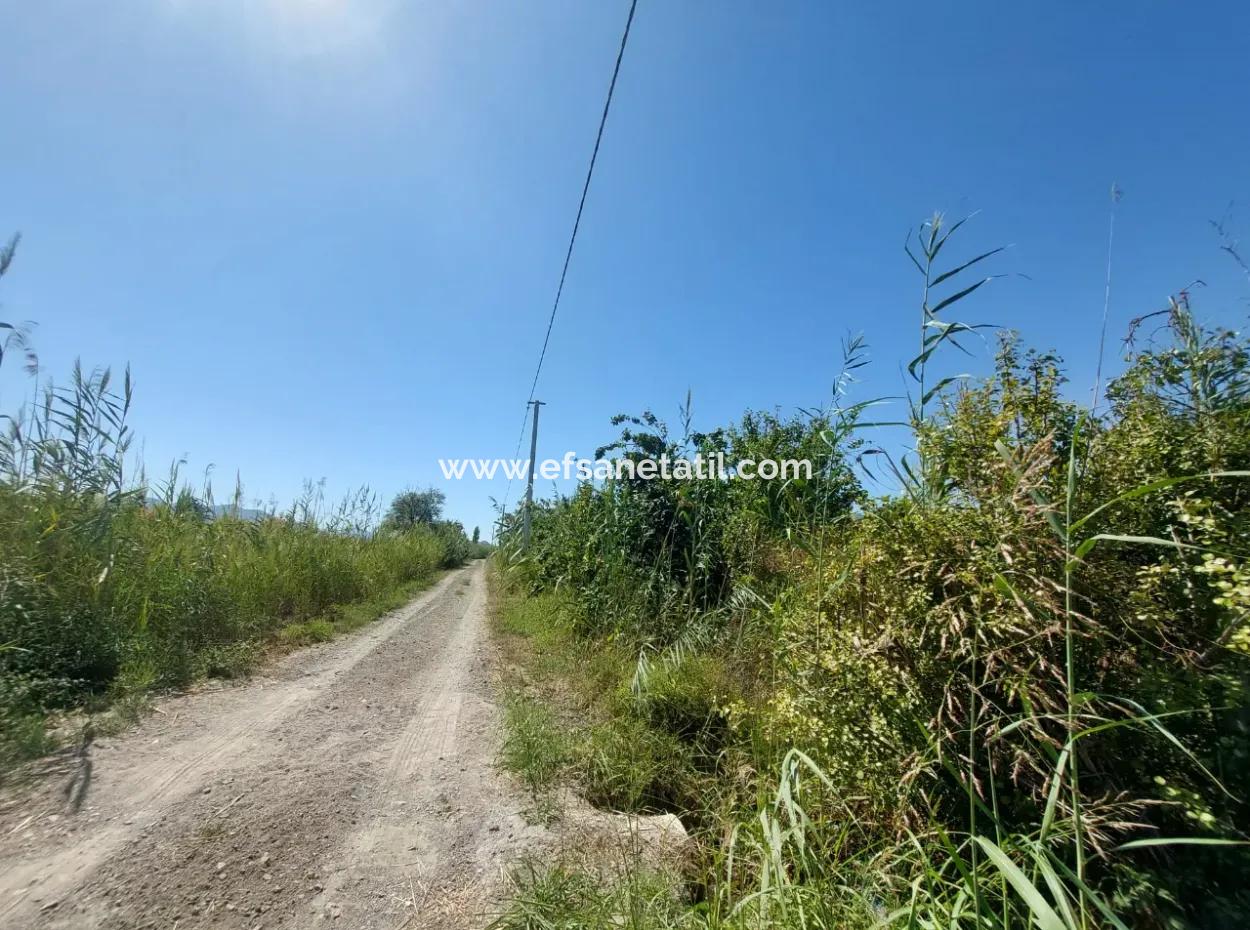 8126 M2 Investition Und Granatapfelgarten, Die Für Zirayi-Darlehen Geeignet Sind, Stehen In Ortaca Tepe Zum Verkauf