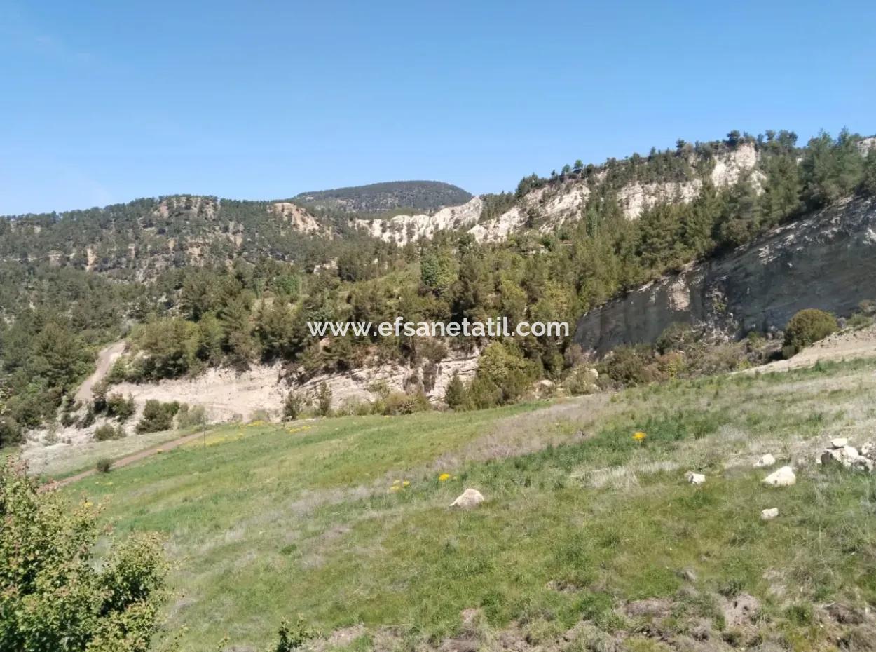 Çameli Kolakta Schnäppchen 20 000 M2 Freistehende Eigentumsurkunde Land Steht Zum Verkauf Oder Tausch.