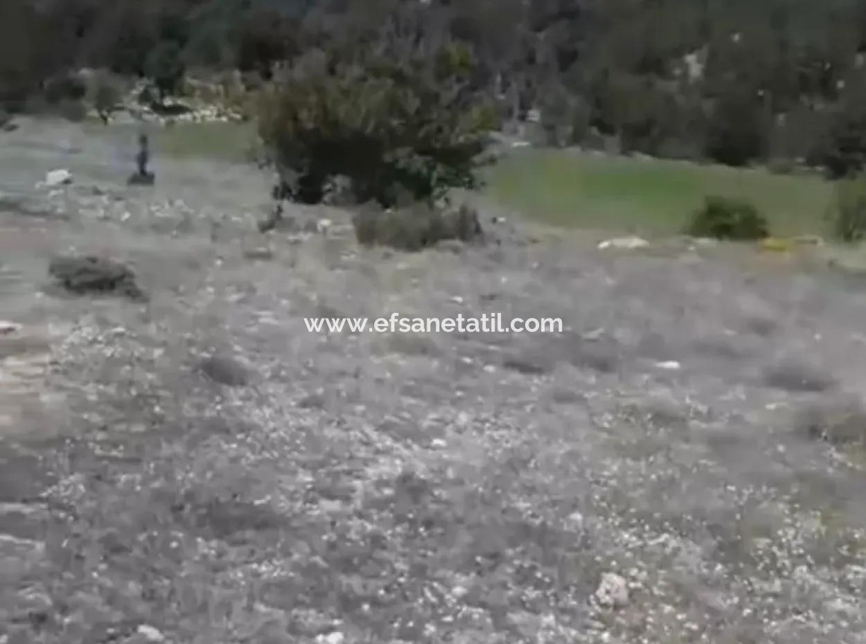 1770 M2 Feld Zum Verkauf In Çameli Ayvacık
