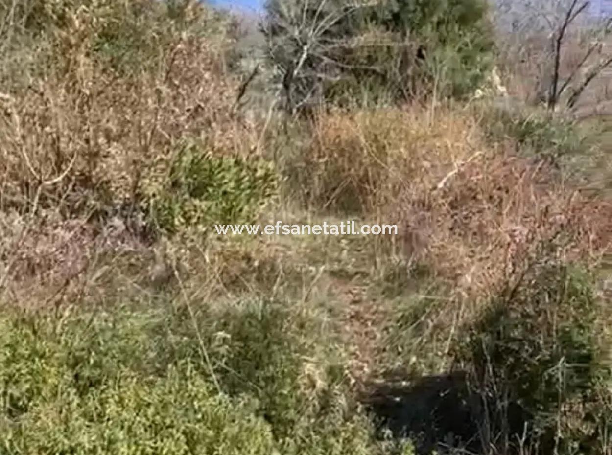 406 M2 Grundstück Mit 200 M2 Wohnfläche In Muğla Menteşe Zeytinköy Zu Verkaufen