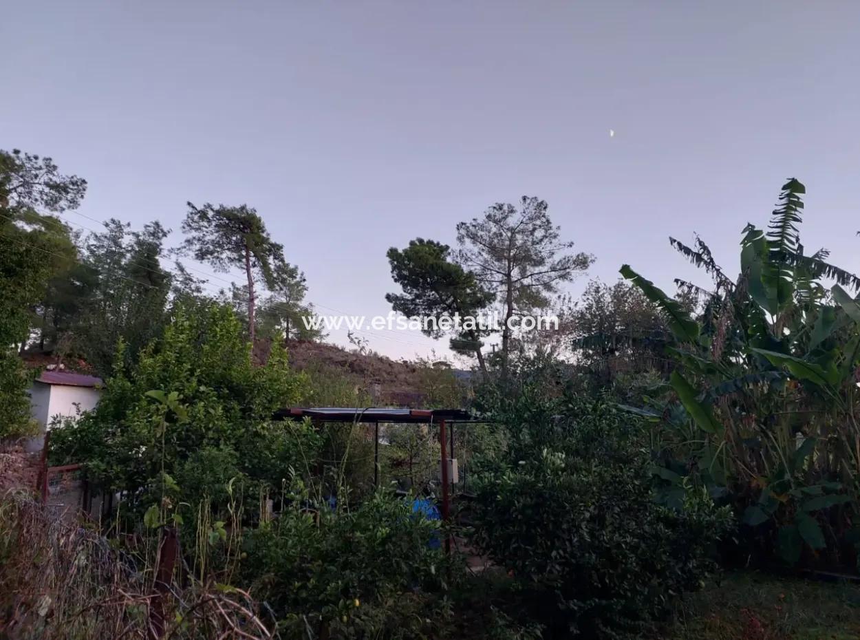 350 M2 Freistehendes Tiny House Geeignetes Grundstück Zum Verkauf In Ortaca Çaylı