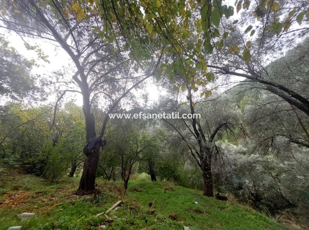Dorfhaus Mit Eigentumsurkunde Zum Verkauf In Der Natur In Muğla Fethiye İnlice