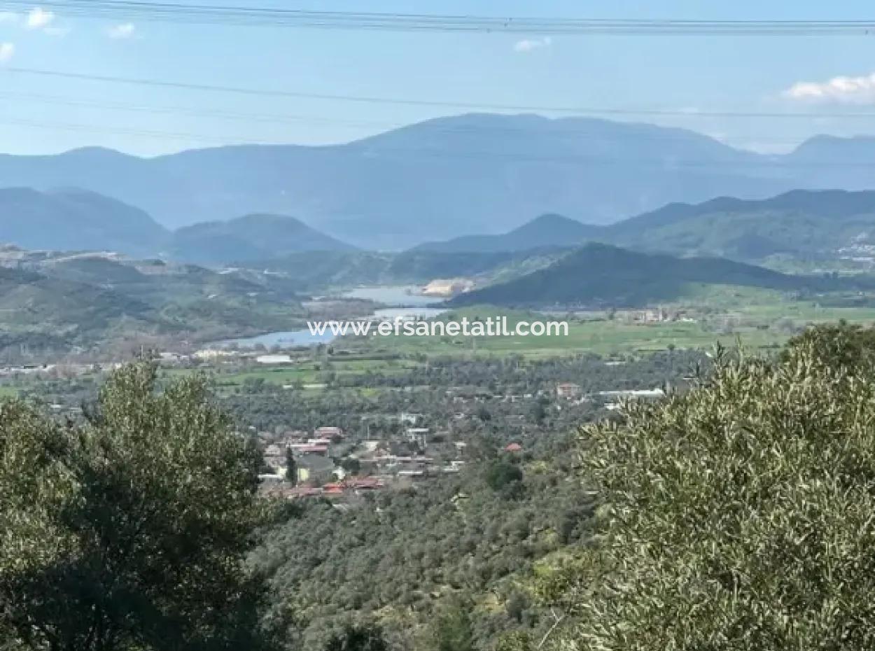 5 800 M2 Einzeltitel, Freistehendes Grundstück Zum Verkauf In Muğla Milas