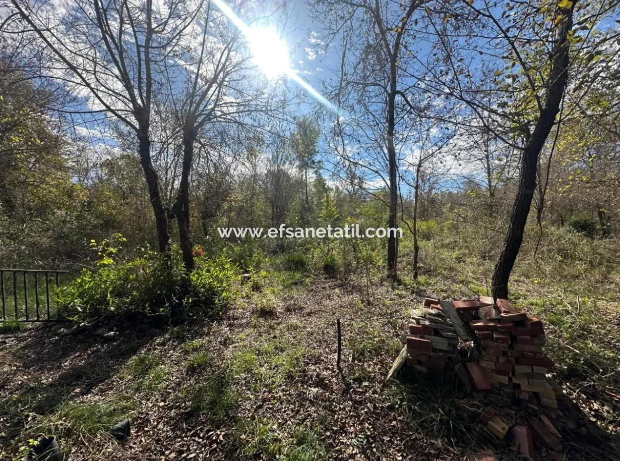 12 000 M2 Feld Zum Verkauf In Ortaca Yeşilyurt