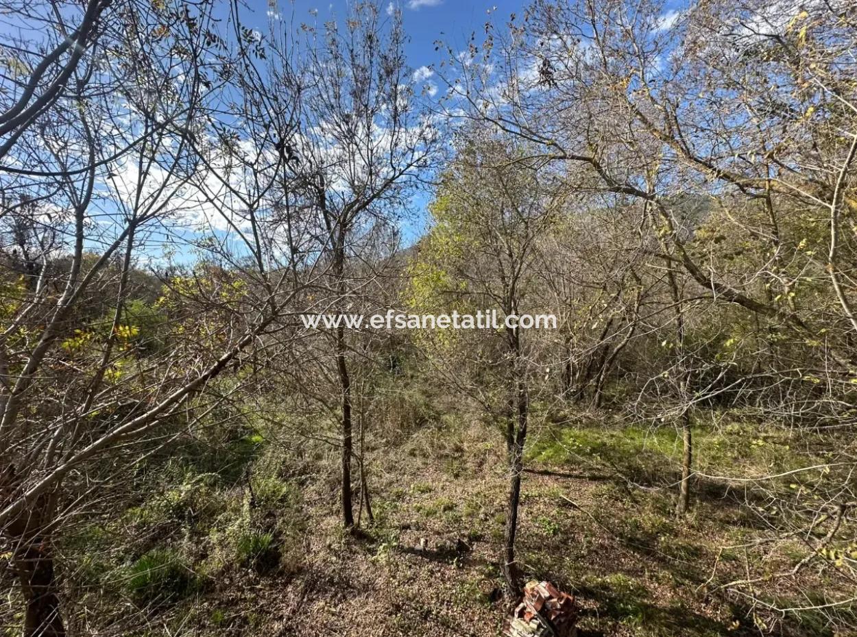 12 000 M2 Feld Zum Verkauf In Ortaca Yeşilyurt