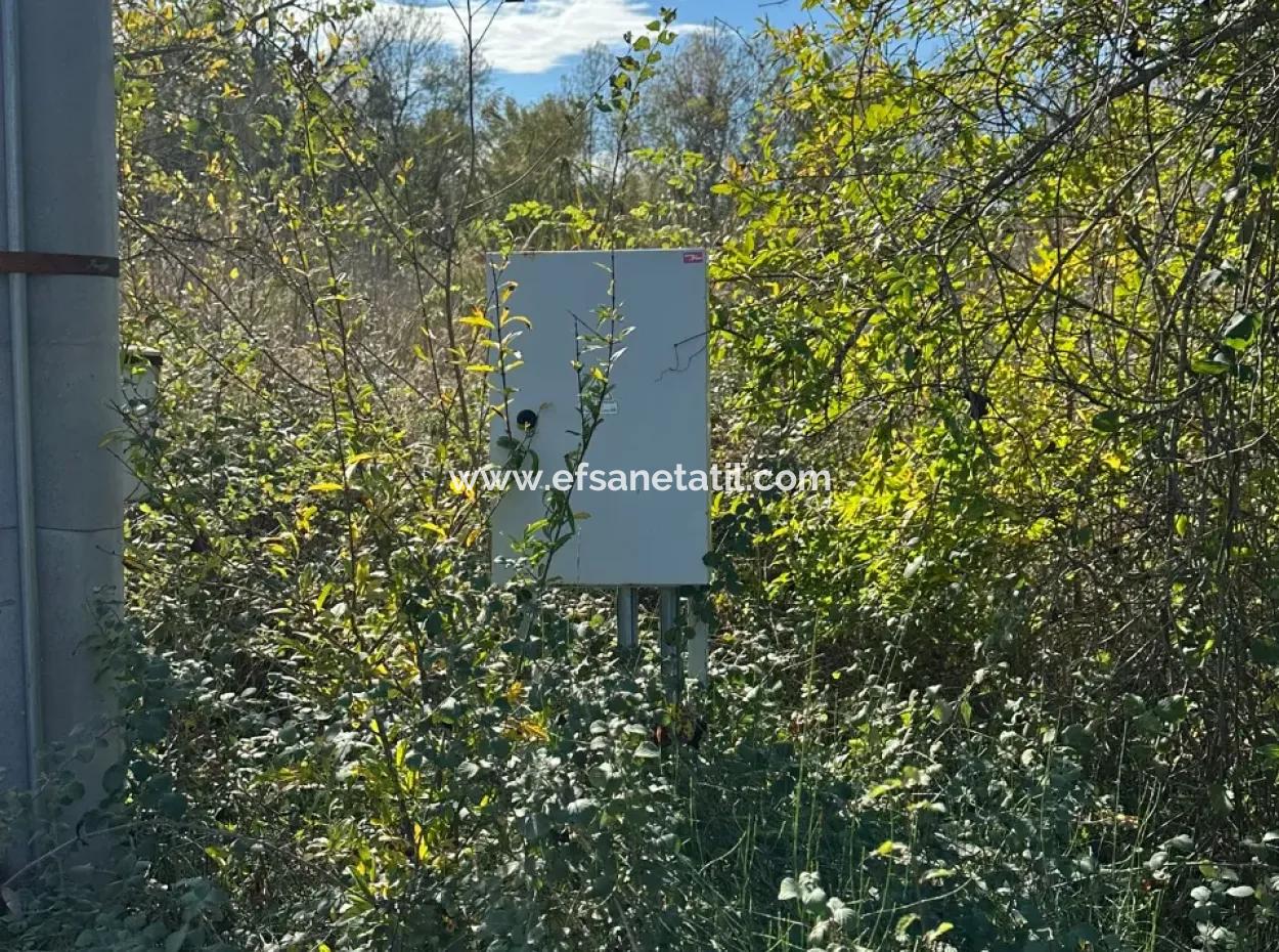 12 000 M2 Feld Zum Verkauf In Ortaca Yeşilyurt