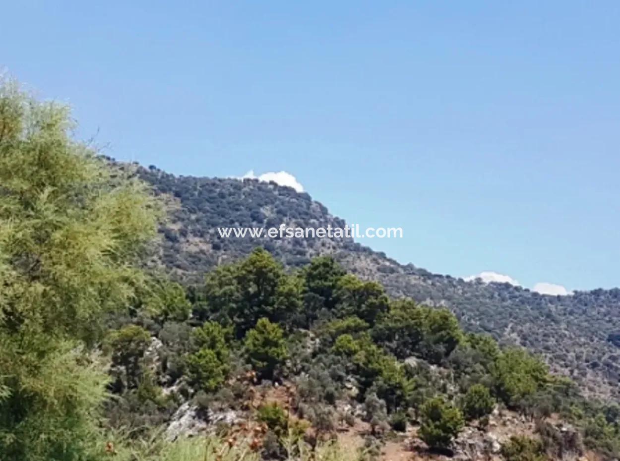 Grundstück Mit Meerblick Zum Verkauf In Mugla Dalaman Kapıkargın