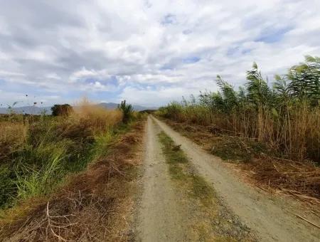 Fruchtbares Land Zu Verkaufen In Ortaca Eskiköy