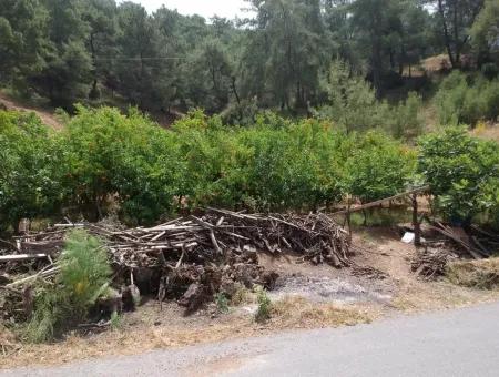 Land Mit Seeblick Zum Verkauf Zwischen Ortaca Tepearasi