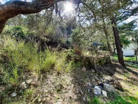 Ruiniertes Dorfhaus Aus Stein Zum Verkauf In Gökova Und Seinem Land