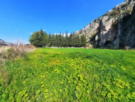 Mugla Dalyan 3500 M2 Grundstück 120 M2 Einstöckiges Einfamilienhaus Zu Verkaufen