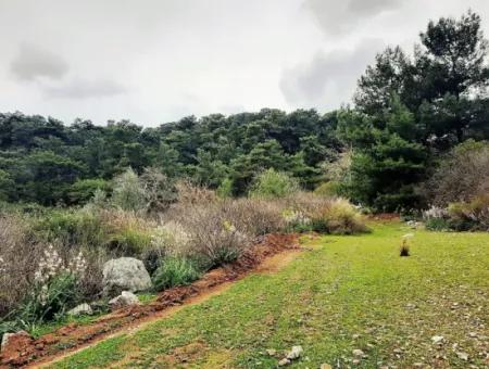 Dalyan Gökbel 13.100 M2 Acker Zum Verkauf In Der Natur