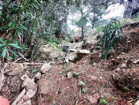 Dalyan Gökbel 13.100 M2 Acker Zum Verkauf In Der Natur