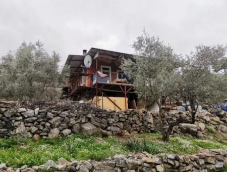 Freistehendes Dorfhaus In Der Natur Zu Verkaufen In Fethiye Gocek Ta'basi