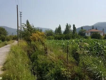 Freistehende 15000 M2 Fruchtbares Land Zum Verkauf In Mugla Ortaca Bogenschützen