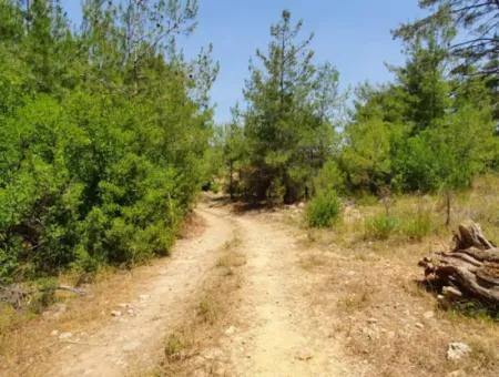 3031 M2 Freistehendes Feld Zu Verkaufen In Mugla Mentese Denizova