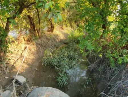 Granatapfelgarten Zum Verkauf In Mugla Ortaca Tepearasi