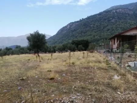 2788 M2 Feld Mit Seeblick Zu Verkaufen In Mugla Köyceğiz Zeytinalanı