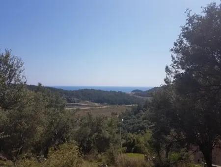 Grundstück Mit Meer Blick Zu Verkaufen Schnäppchen Ortaca Sarıgerme