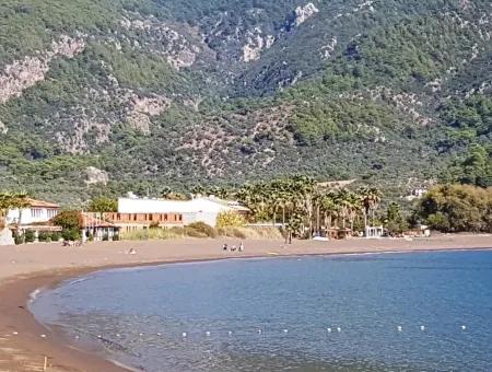 Olivenhain Mit Meerblick Zum Verkauf In Köyceğiz Ekincik