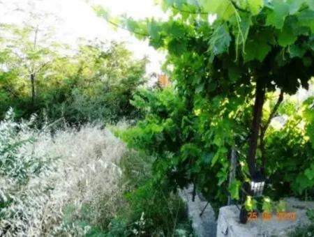 600 M2 Garten Mit Meerblick Zum Verkauf In Mugla Fethiye Eldirek