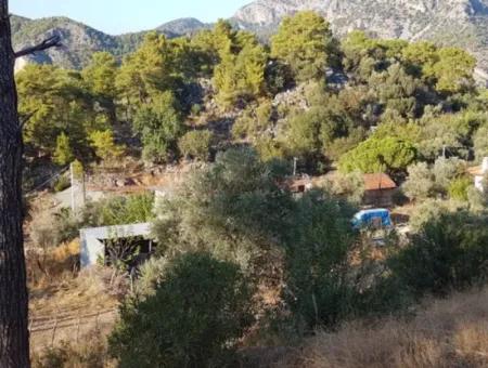 2 500 M2 Freistehendes Schnäppchengrundstück In Ortaca Gökbel Zu Verkaufen