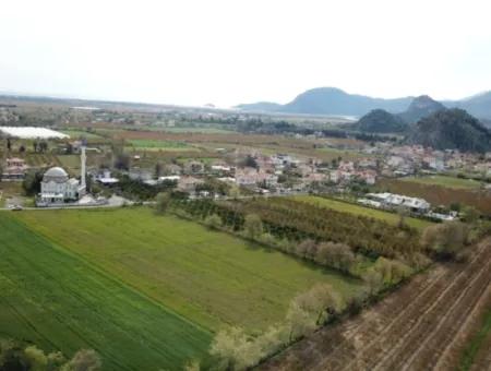 250 M2 Bau Beschlagnahmtes Land Von 5.000 M2 Freistehendes Grundstück In Mugla Dalyan Zum Verkauf