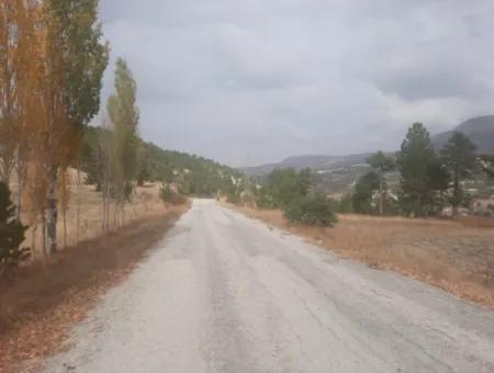 6 230 M2 Fruchtbares Land Zur Miete In Çameli Cumaalanı