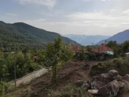 Muğla Köyceğiz Yayla Mah 570 M2 Grundstück Zum Verkauf