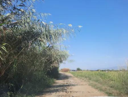 2 650 M2 Fruchtbares Land Zum Verkauf In Köyceğiz Poplar