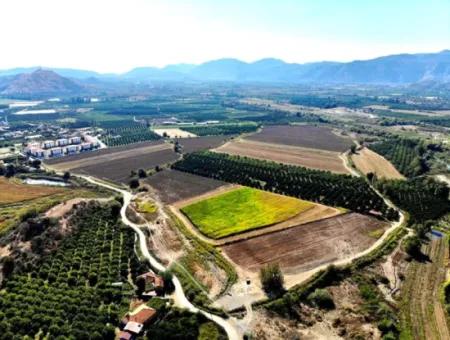 250 000 M2 Feld Zum Verkauf In Dalaman Altıntaş