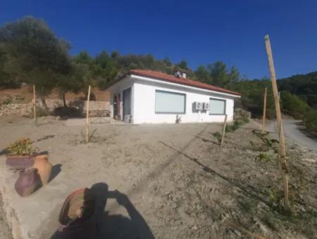 2 Einheiten Von 1 1 Wohnung Zum Verkauf Auf 1700 M2 Freistehendem Grundstück In Muğla Gökbel