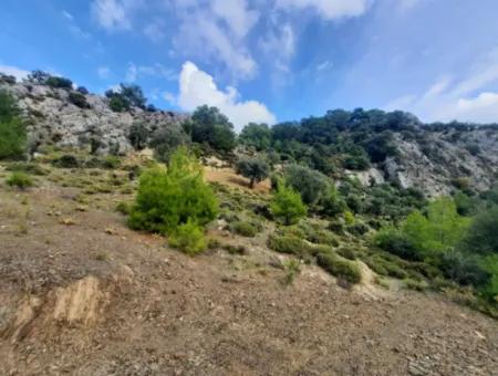 Muğla Dalyan Gökbelde 7 270 M2 Freistehende Eigentumsurkunde Land Mit Meer- Und Seeblick Zum Verkauf