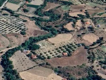 3500 M2 Zonierter Walnussgarten Zum Verkauf In Denizli Çameli Cevizli