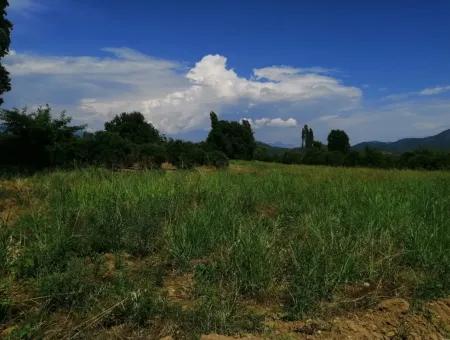 Bauernhof Zum Verkauf In Köyceğiz Beyoba Schnäppchen