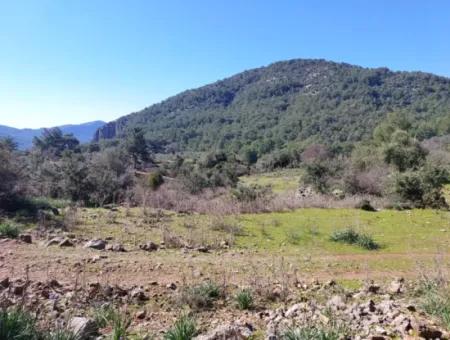 2 400 M2 Feld Zum Verkauf In Muğla Ortaca Gökbelde Natur