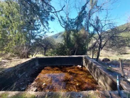 2 400 M2 Feld Zum Verkauf In Muğla Ortaca Gökbelde Natur