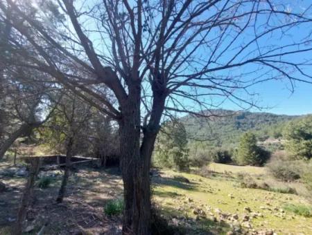 2 400 M2 Feld Zum Verkauf In Muğla Ortaca Gökbelde Natur