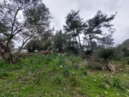 Ortaca Gökbelde Freistehende Natur Auf 626M2 Grundstück Zum Verkauf