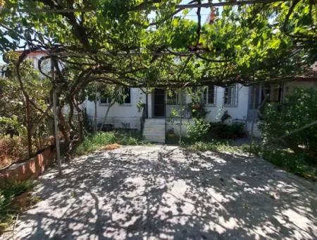 2 1 Dach-Maisonette-Wohnung Zu Vermieten In Dalyan, Mugla – Ruhiges Und Kühles Leben In Der Natur