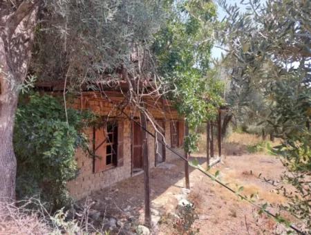 Dorfhaus Mit Seeblick Und Olivenhain Land Zum Verkauf In Köyceğiz Çandır, Muğla