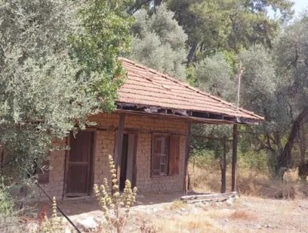 Dorfhaus Mit Seeblick Und Olivenhain Land Zum Verkauf In Köyceğiz Çandır, Muğla