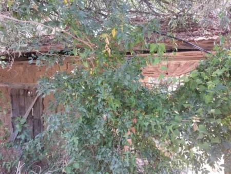 Dorfhaus Mit Seeblick Und Olivenhain Land Zum Verkauf In Köyceğiz Çandır, Muğla