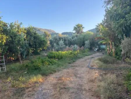 Muğla, Ortaca, Okçularda Gute Lage 650 M2 Wohngebiet Grundstück Zum Verkauf