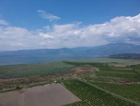 Tepearasi Oriya Schnäppchen Zwischen 13 700 M2 Land For Sale