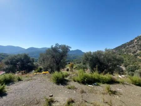 Auf 763 M2 Grundstück In Ortaca Gökbel, Rohbau 70 M2, 2 1 Fertighaus Zu Verkaufen