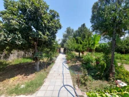 Frei Stehendes Haus Mit Pool, Berg- Und Naturblick In Muğla Ortaca Okçular Zu Verkaufen